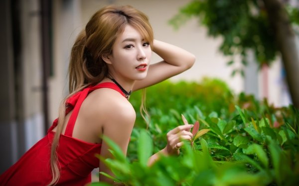 Women Asian Model Red Dress Lipstick Brunette HD Wallpaper | Background Image