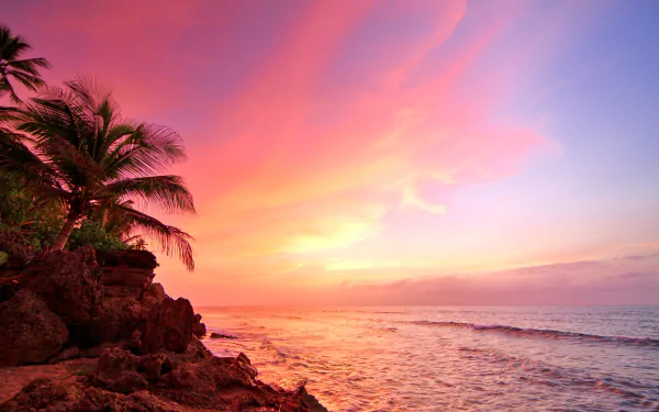 A vibrant pink sunset over the ocean horizon with palm trees along the rocky tropical coast of Puerto Rico, captured in 4K Ultra HD.