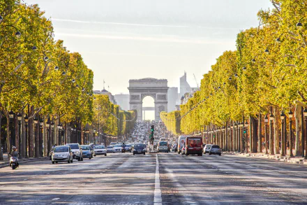 France Paris tree-lined road street man made Arc de Triomphe HD Desktop Wallpaper | Background Image