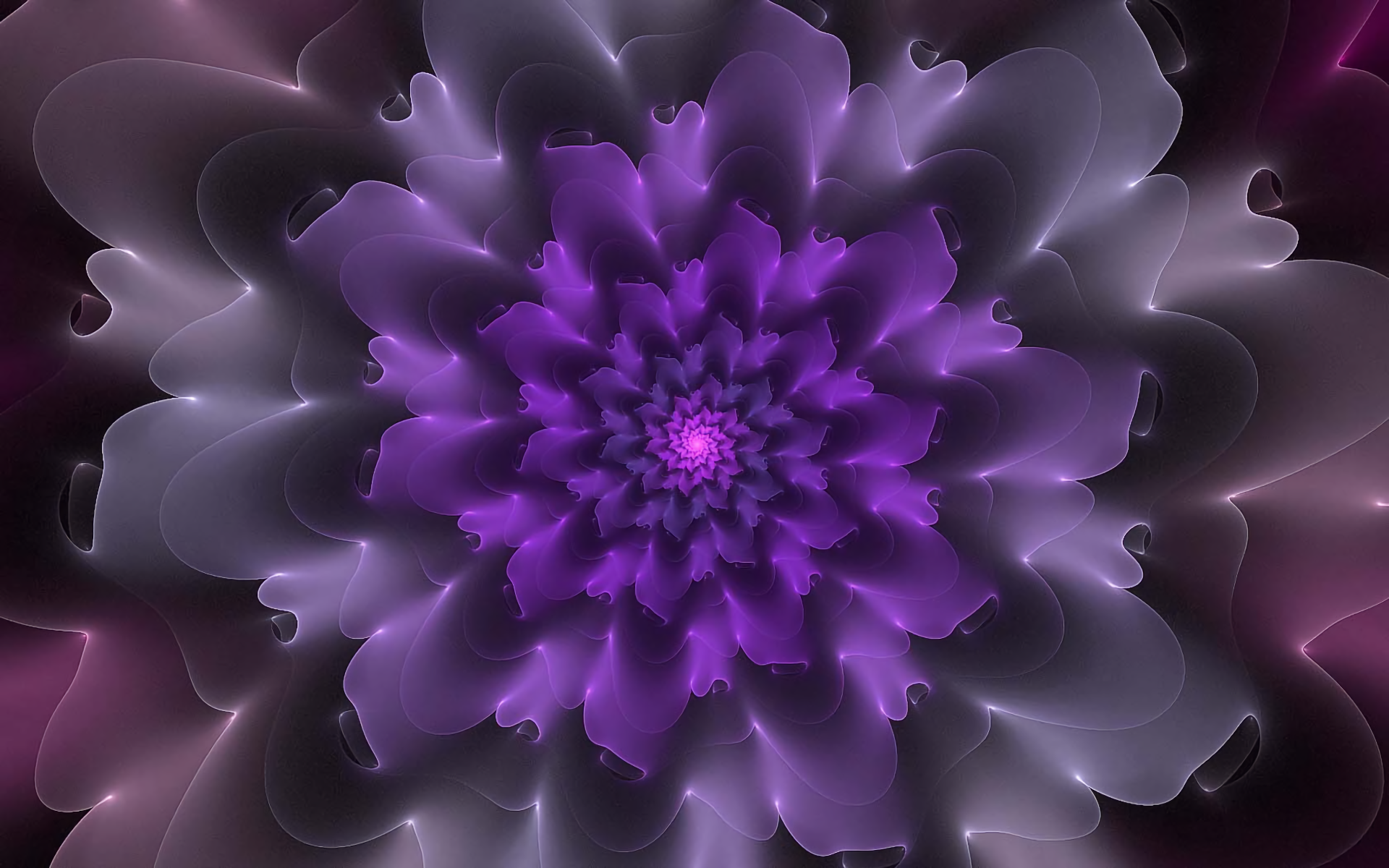 Abstract Flower HD Wallpaper | Background Image | 1920x1200