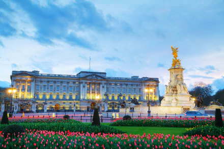 4K Ultra HD view of Buckingham Palace in London with illuminated facade, Victoria Memorial statue, and blooming tulip flowers in the foreground under a blue sky.