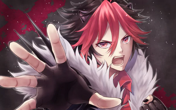 Anime Show by Rock!! HD Desktop Wallpaper | Background Image