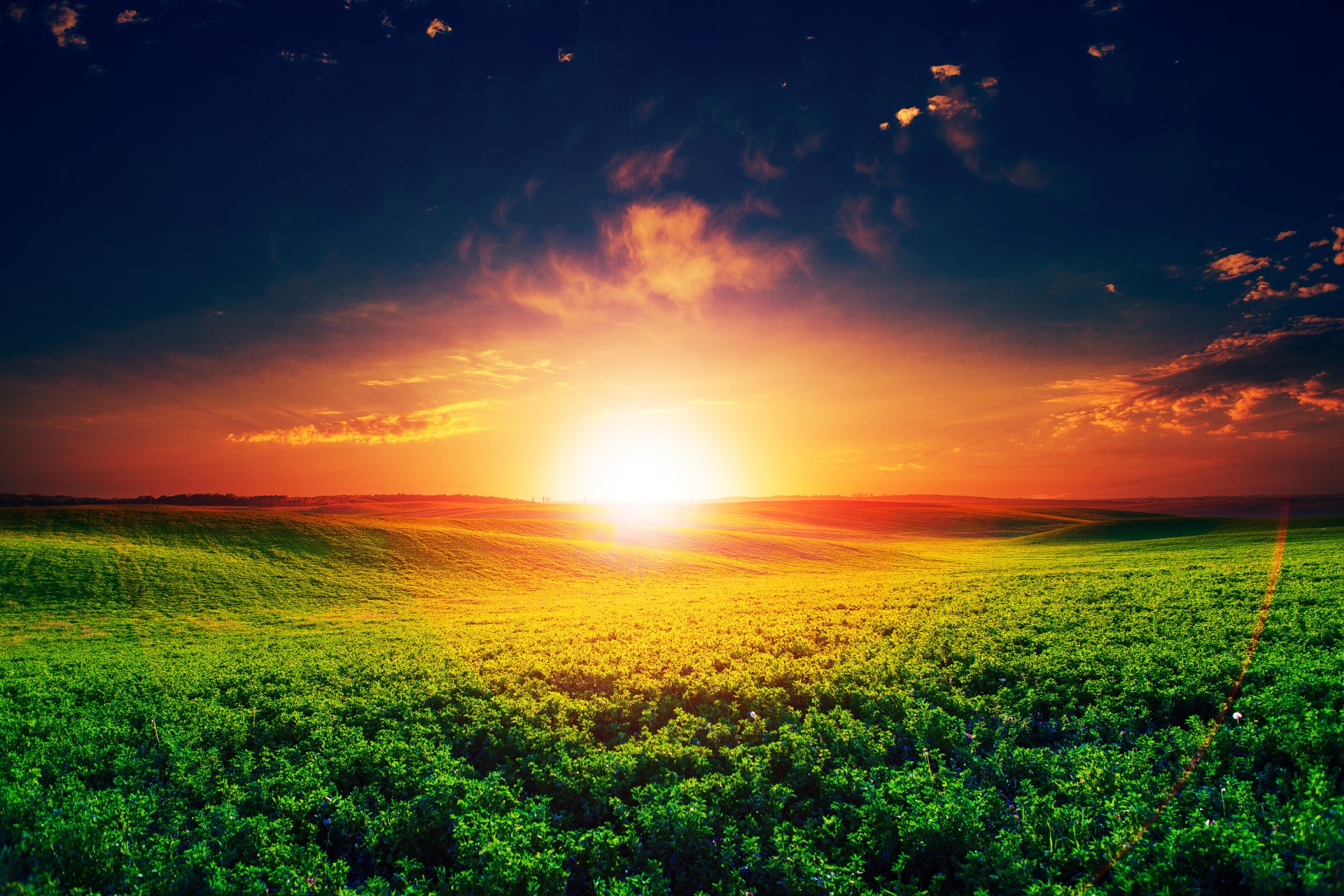 Download Sky Horizon Field Nature Sunset HD Wallpaper