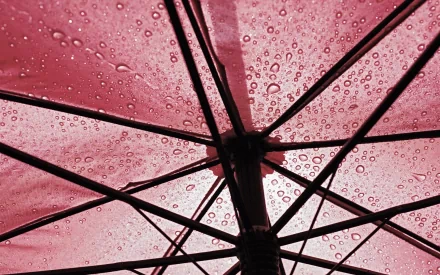 photography umbrella HD Desktop Wallpaper | Background Image