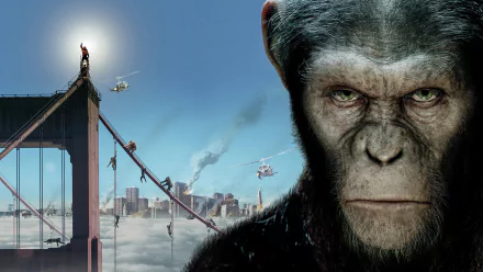 movie rise of the planet of the apes HD Desktop Wallpaper | Background Image