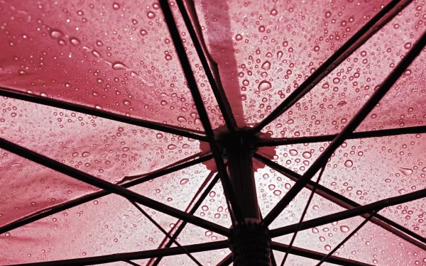 photography umbrella HD Desktop Wallpaper | Background Image