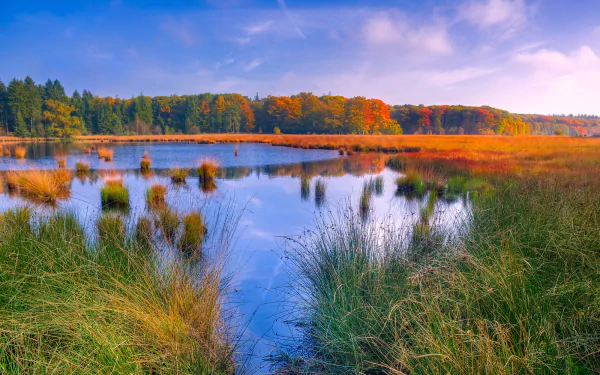 HD desktop wallpaper featuring a serene countryside lake surrounded by reeds, grass, and a forest with vibrant fall colors under a bright sky.