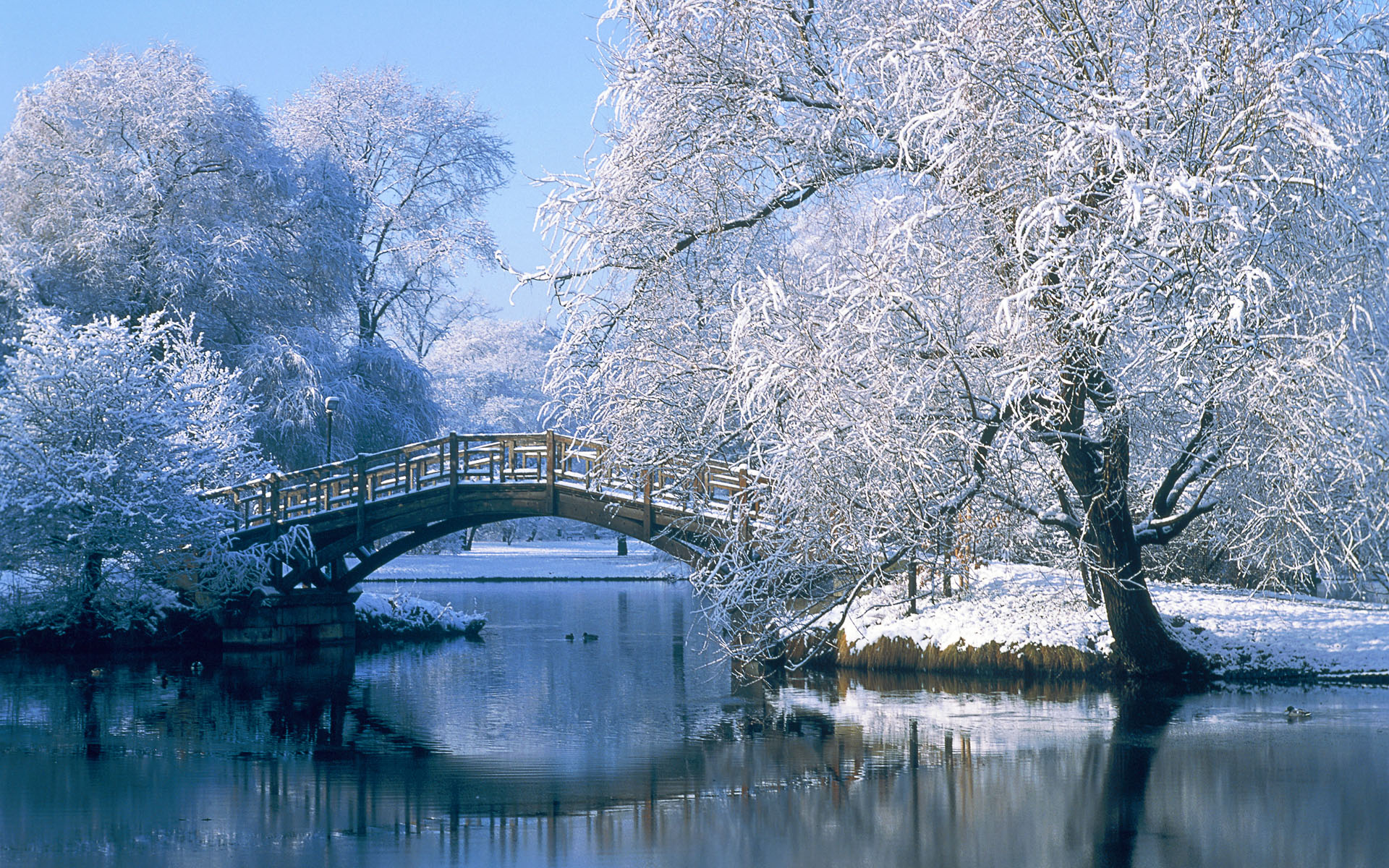 Photography Winter HD Wallpaper | Background Image