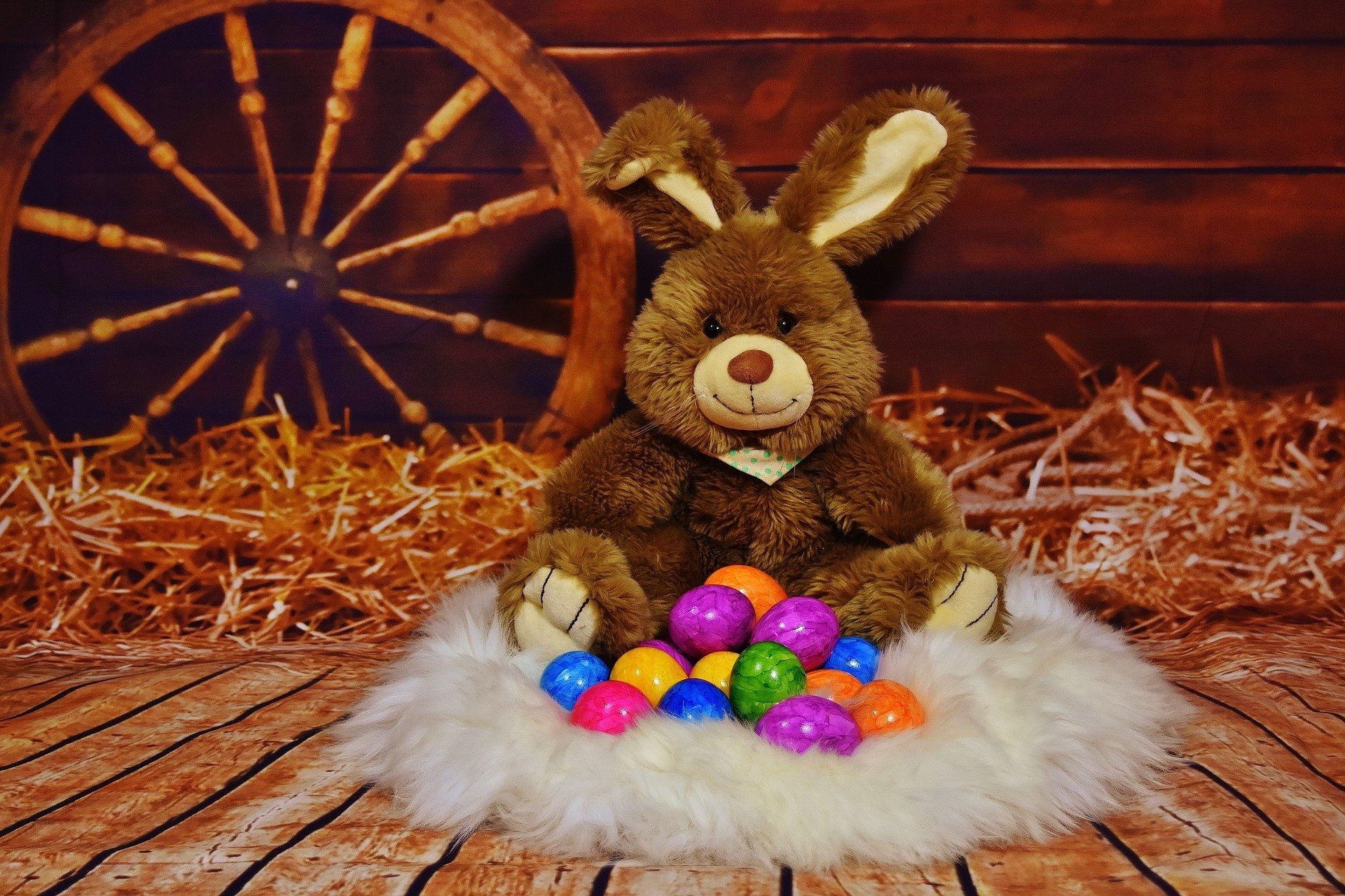 easter egg with stuffed animal