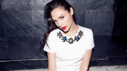 Celebrity Gal Gadot HD Desktop Wallpaper | Background Image