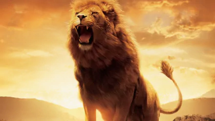 HD desktop wallpaper featuring a roaring lion from the movie The Chronicles of Narnia: The Lion, the Witch and the Wardrobe against a golden sunset sky.