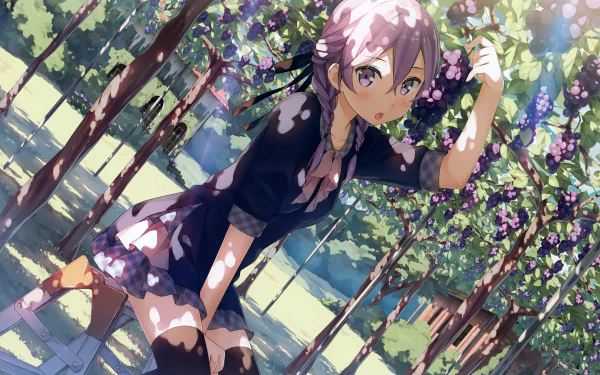 A high-definition desktop wallpaper featuring an anime girl in a vineyard, tagged 5 Nenme no Houkago, Anime, Original. Dappled sunlight filters through the grapevines around her.