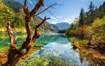 Download Mountain Nature Lake PFP