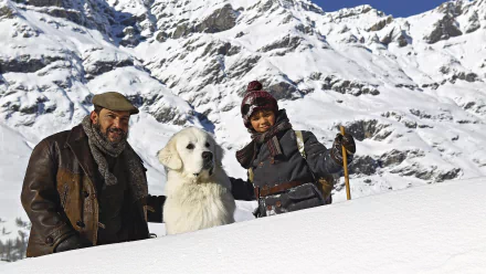 movie Belle and Sebastian HD Desktop Wallpaper | Background Image