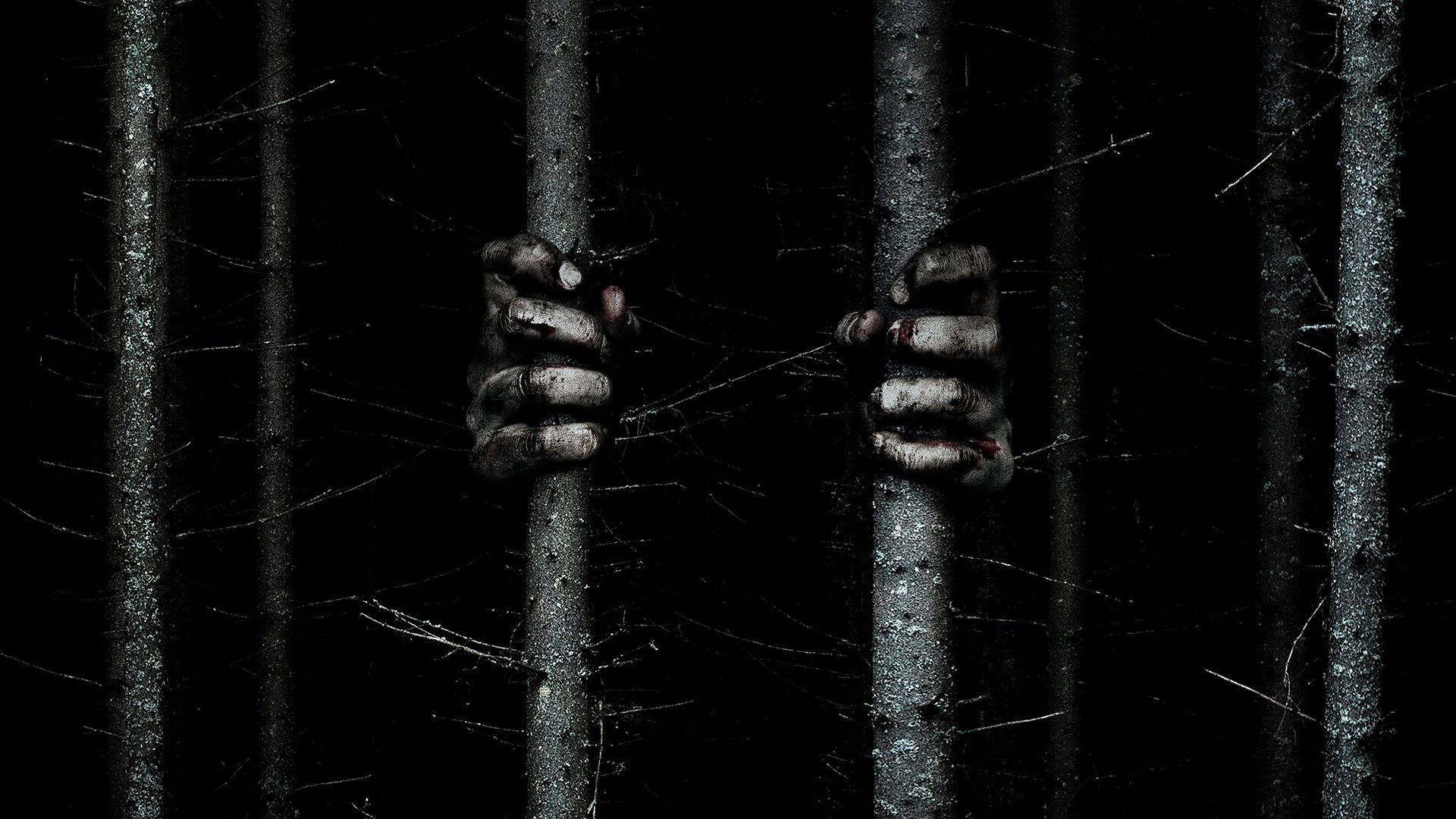 Download Movie Blair Witch HD Wallpaper