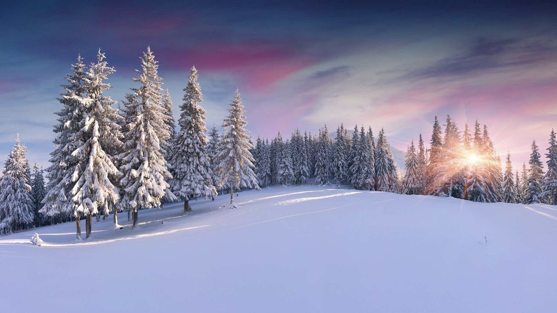 Snow-covered trees in a winter forest at sunset, with vibrant colors illuminating the sky, captured in an HD desktop wallpaper background.