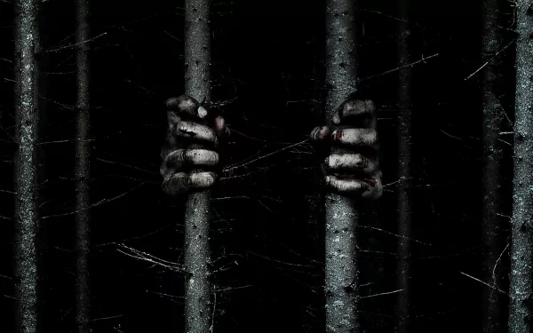 movie blair witch HD Desktop Wallpaper | Background Image