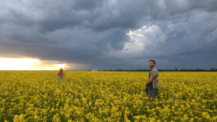 movie Cut Bank HD Desktop Wallpaper | Background Image