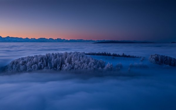 Nature Fog Evening Aerial Horizon HD Wallpaper | Background Image