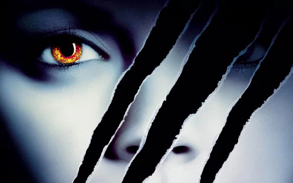 movie cursed HD Desktop Wallpaper | Background Image