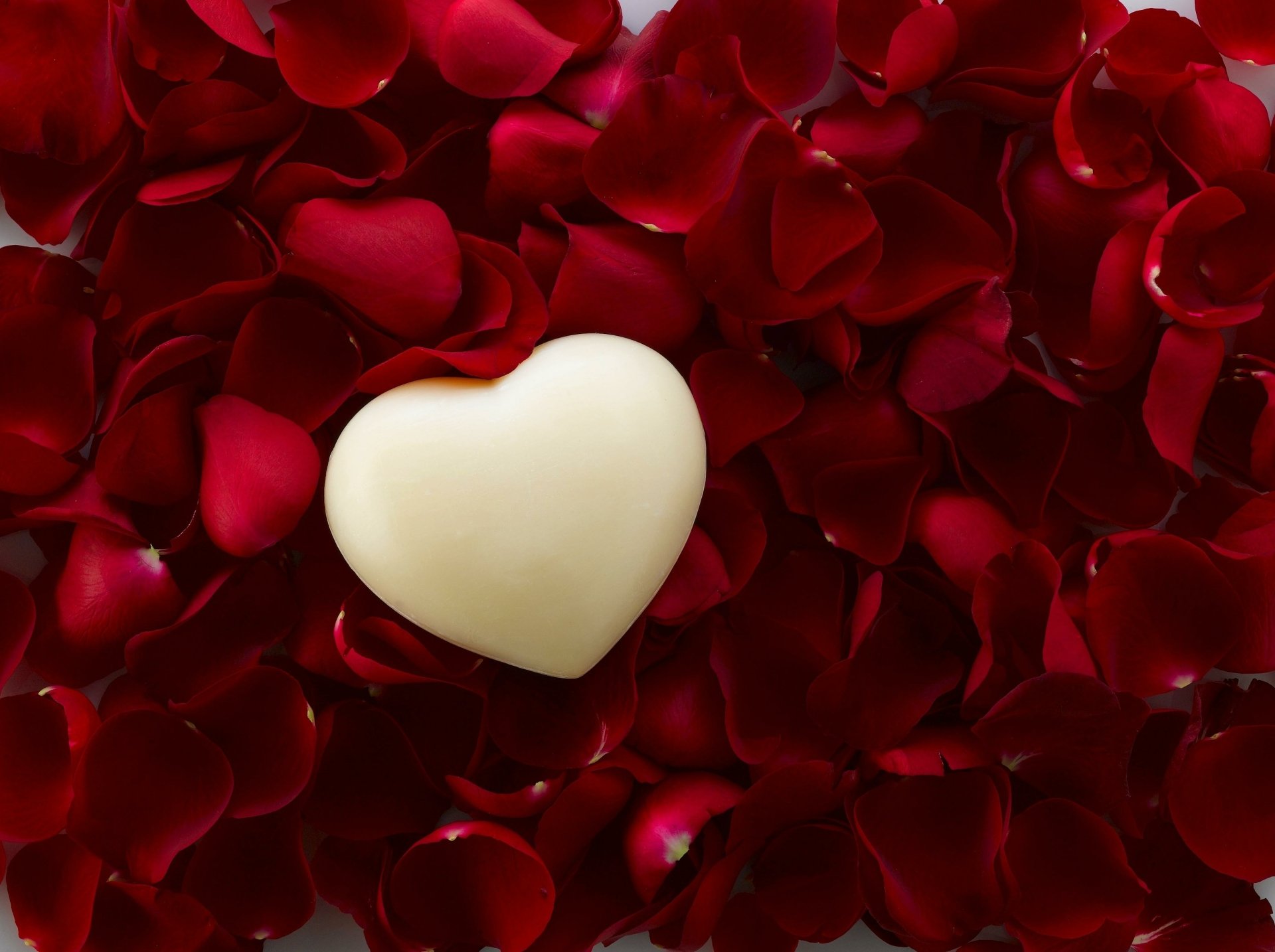 White Heart and Red Rose Petals HD Duvar kağıdı Arka plan 3713x2774 White Heart and Red Rose Petals HD Duvar kağıdı Arka plan 3713x2774