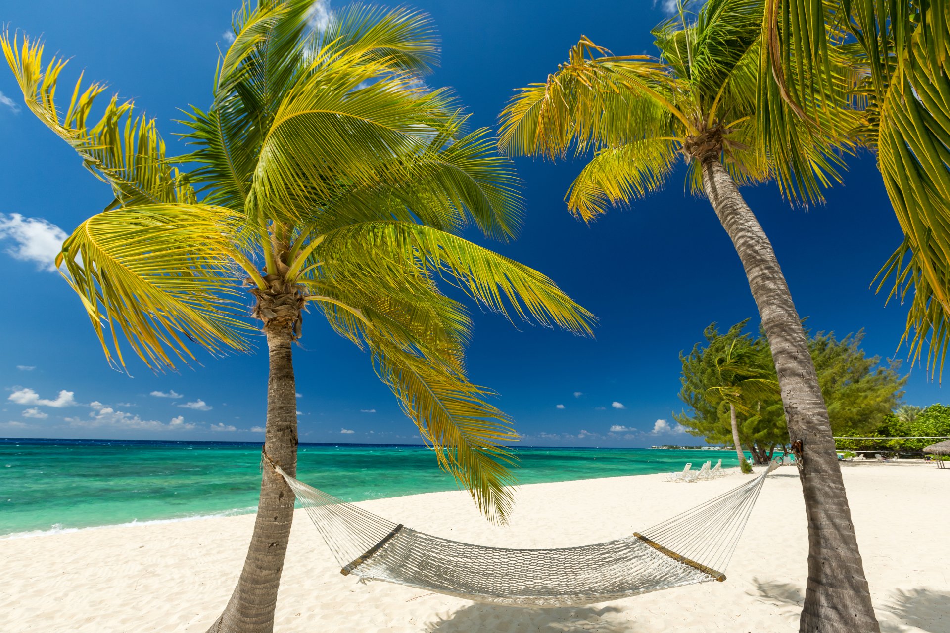 Download Hammock Sand Tropical Horizon Ocean Palm Tree Beach Photography Holiday 4k Ultra HD Wallpaper