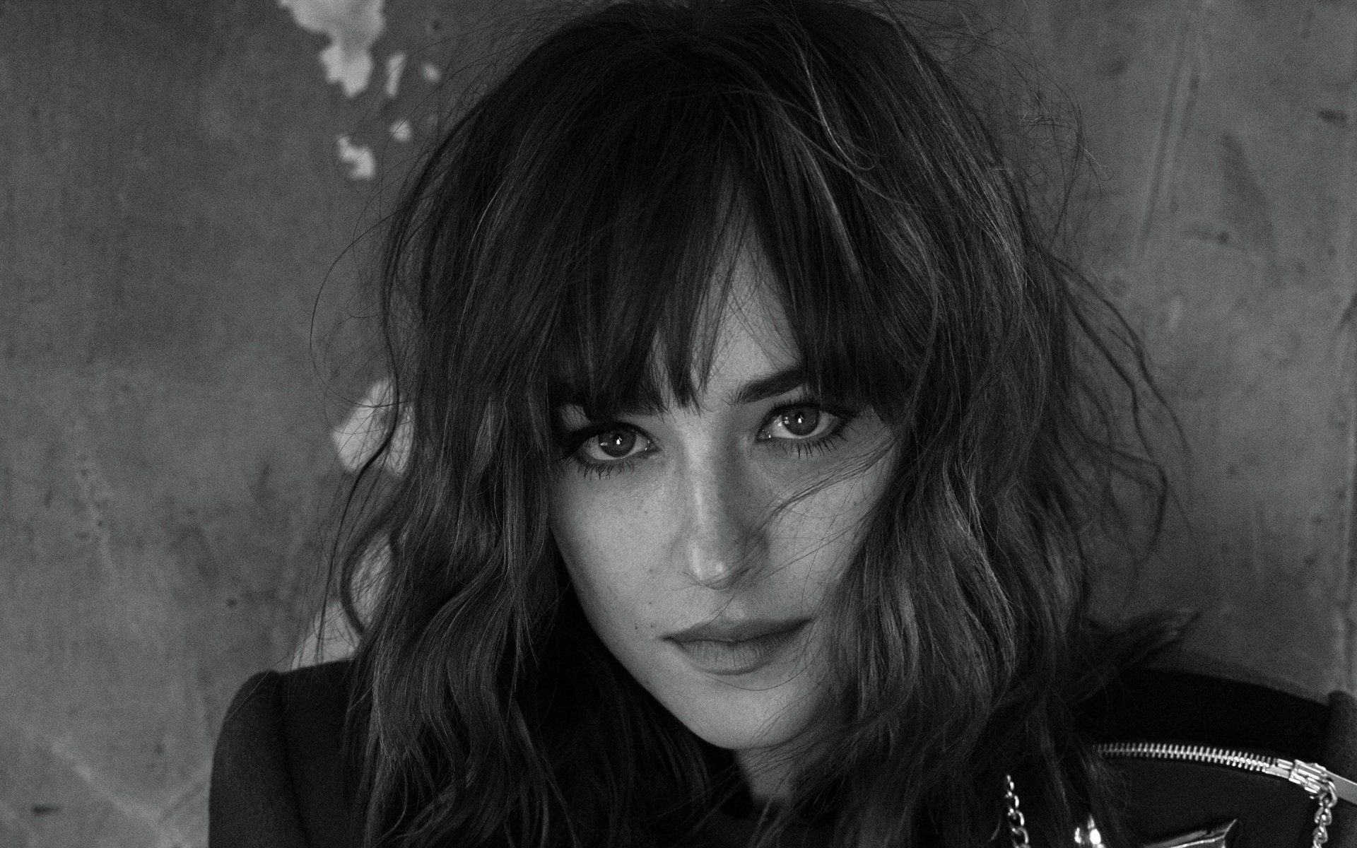 Black and white HD portrait of American actress and celebrity Dakota Johnson, captured with dramatic lighting and textured background, designed as a PC desktop wallpaper.