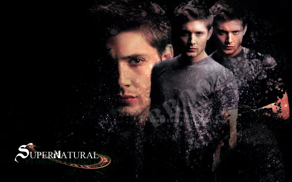 Dean Winchester Jensen Ackles Supernatural (TV Show) TV Show HD Desktop Wallpaper | Background Image
