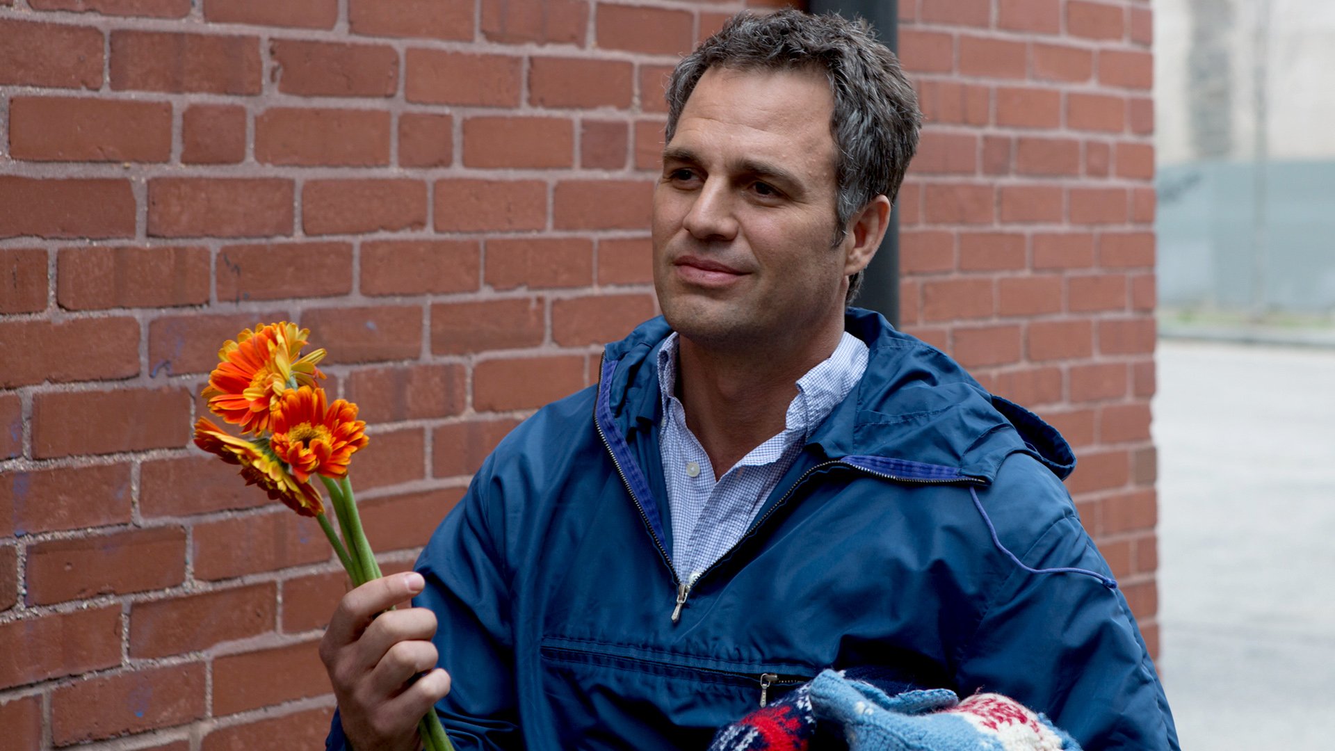 Download Movie Infinitely Polar Bear HD Wallpaper