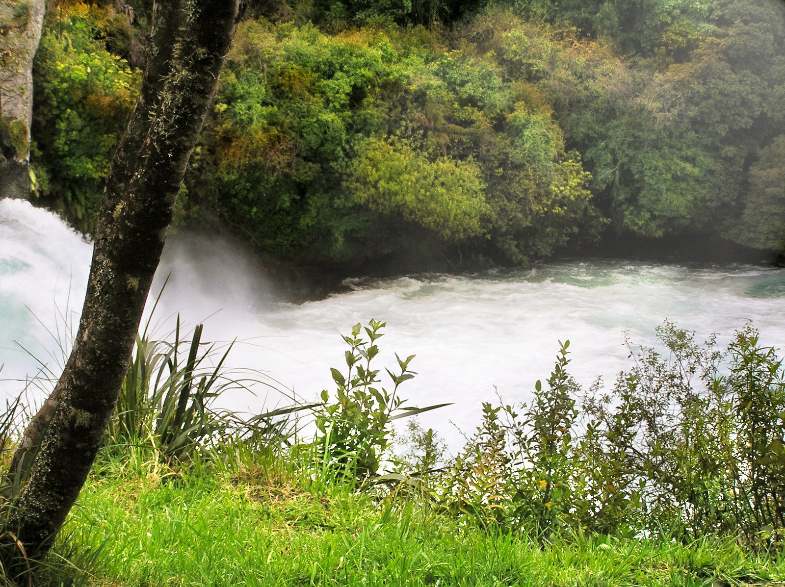 A serene nature scene featuring lush green grass and a flowing river, captured in high-definition photography, showcasing the beauty of the outdoors.