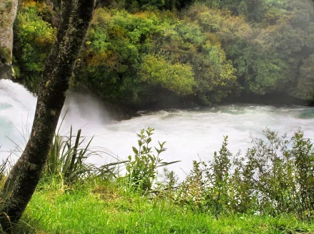 A serene nature scene featuring lush green grass and a flowing river, captured in high-definition photography, showcasing the beauty of the outdoors.