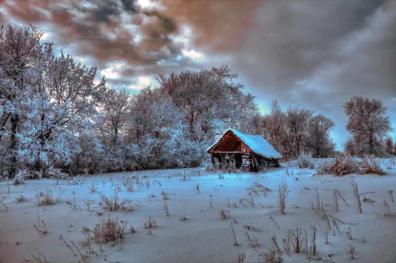  Winter Clouds over Old Shack