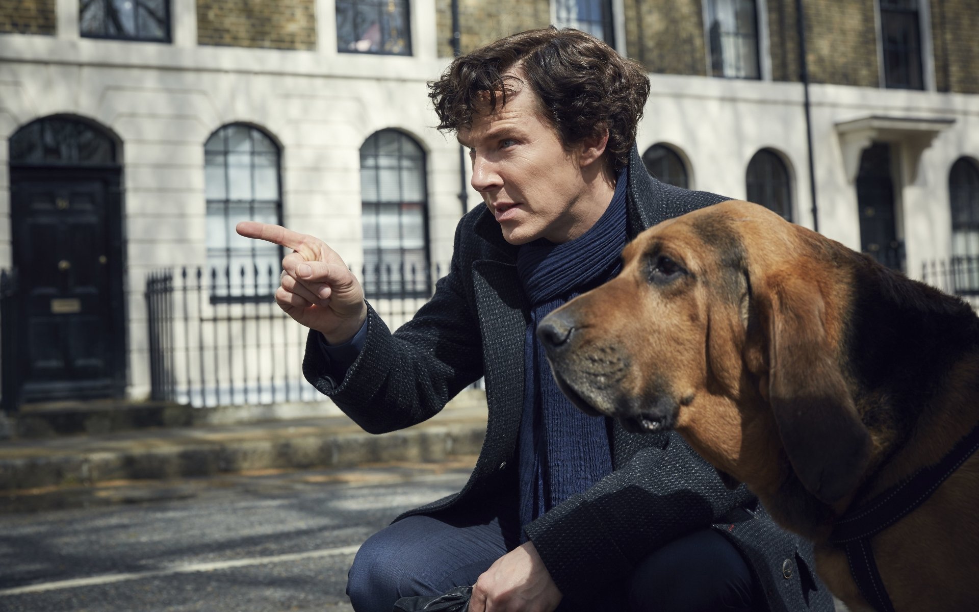 HD desktop wallpaper featuring Benedict Cumberbatch as Sherlock Holmes from the TV series Sherlock, pointing while kneeling beside a large dog on a city street.