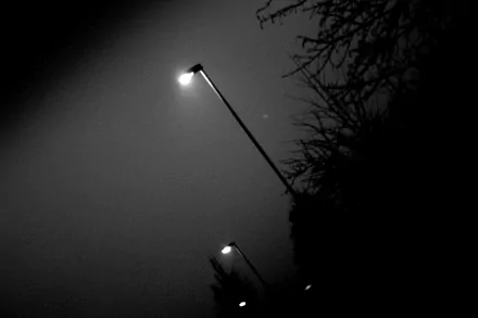 Black & White photography 4K Ultra HD PC desktop wallpaper: dim streetlights cutting through fog, silhouetted tree branches framing a moody night sky.