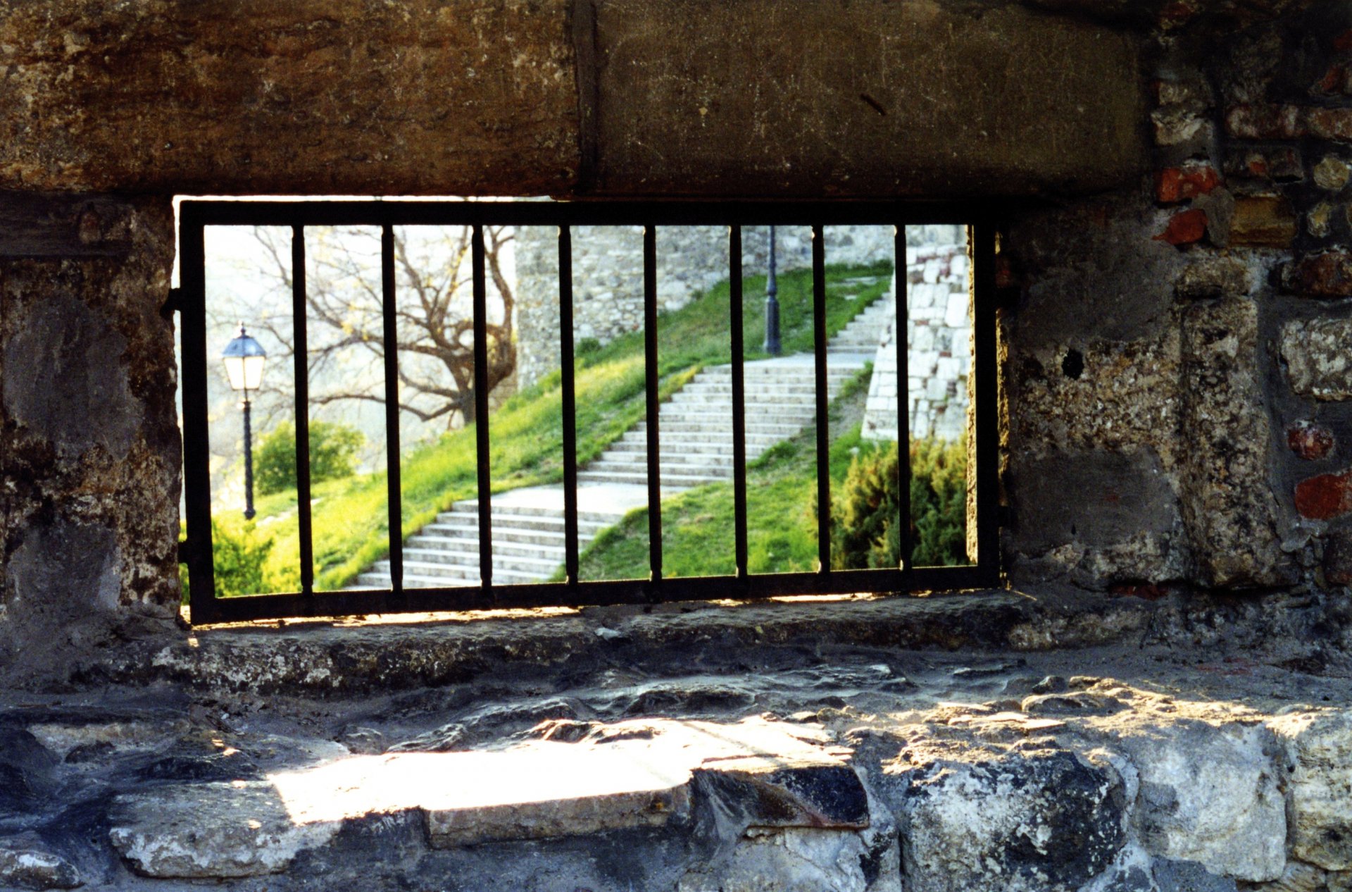 A striking HD image of a prison fence framing a sunlit view of grassy steps and trees, blending artistic photography with a hint of nature's beauty.
