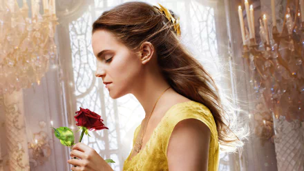 Emma Watson as Belle in the movie Beauty and the Beast (2017), holding a red rose in a beautifully lit room. This high-definition desktop wallpaper captures the elegance and enchantment of the film.