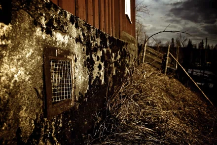 old house photography Rustic HD Desktop Wallpaper | Background Image
