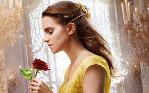 Movie Beauty And The Beast (2017) Emma Watson Rose HD Wallpaper | Background Image