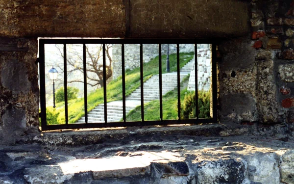 A striking HD image of a prison fence framing a sunlit view of grassy steps and trees, blending artistic photography with a hint of nature's beauty.