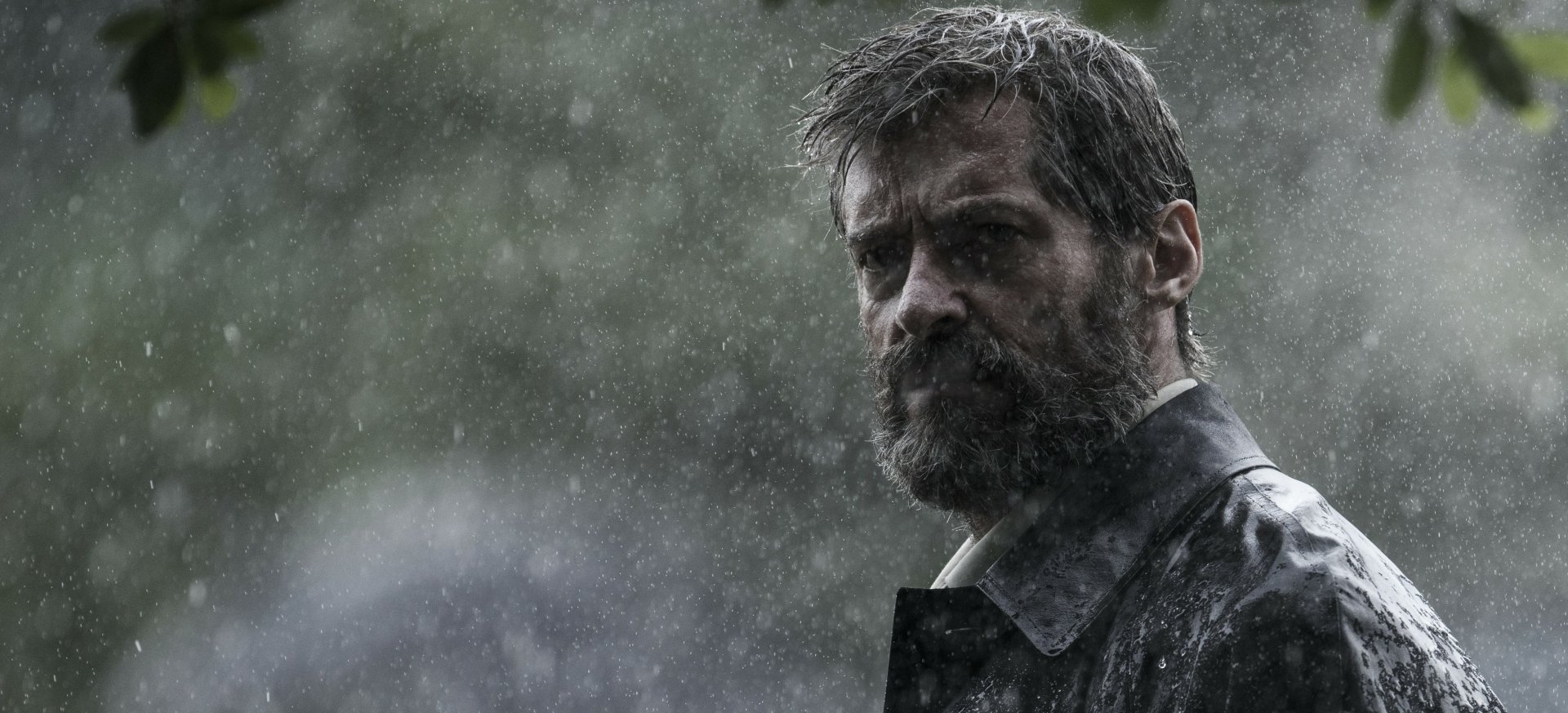 HD desktop wallpaper featuring Hugh Jackman as Wolverine in the movie Logan, standing in the rain with a determined expression.