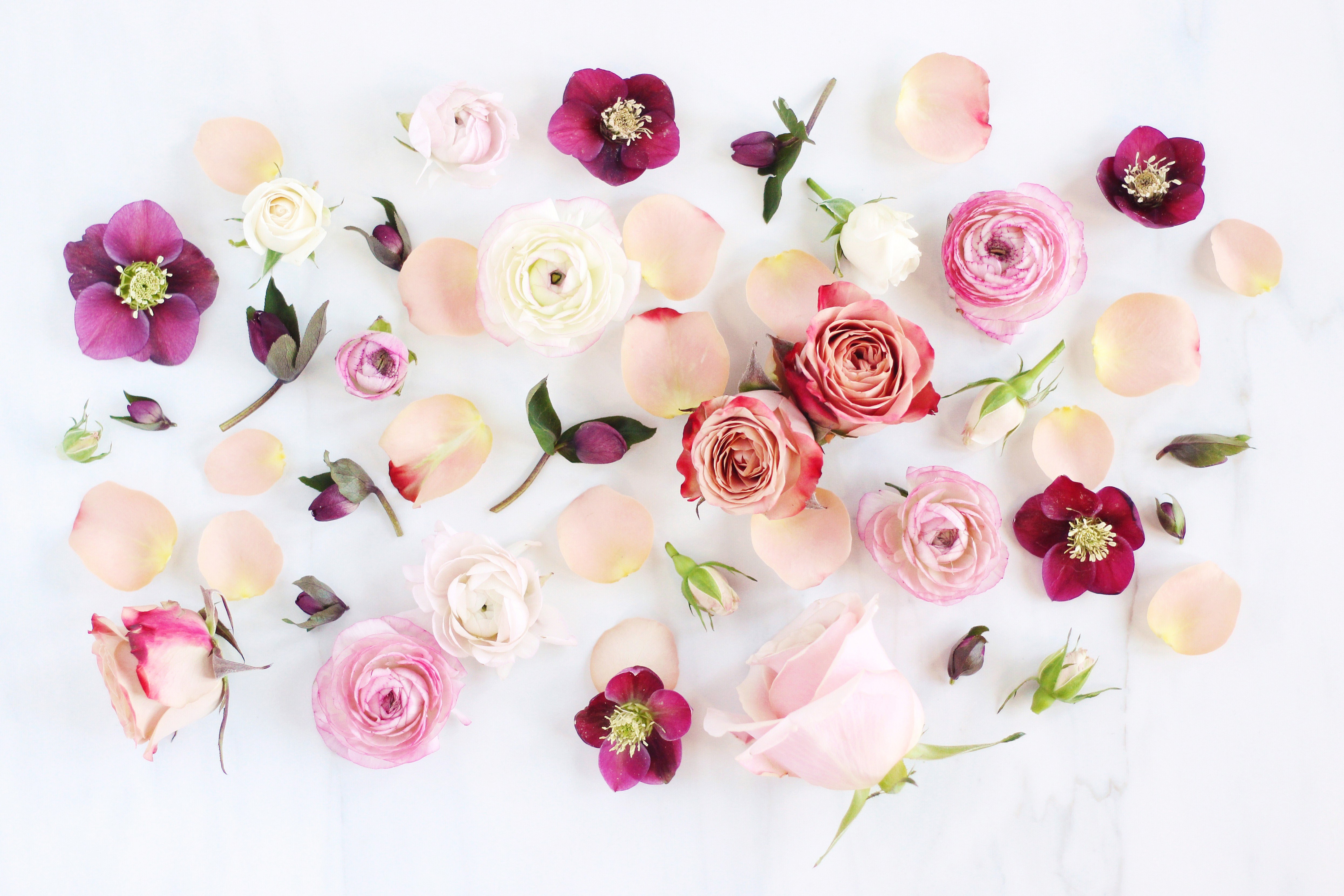Roses, Anemones, and Peonies by Justine Celina