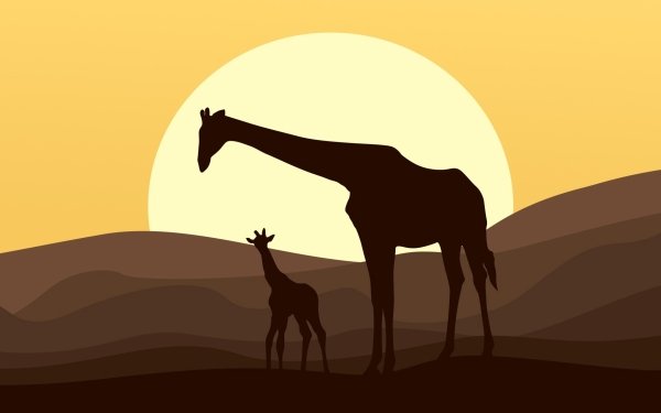 Animal Artistic Baby Animal Giraffe Sun HD Wallpaper | Background Image