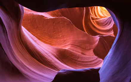 Stunning 4K Ultra HD view of Arizona's Antelope Canyon showcasing smooth, flowing sandstone formations bathed in warm natural light.