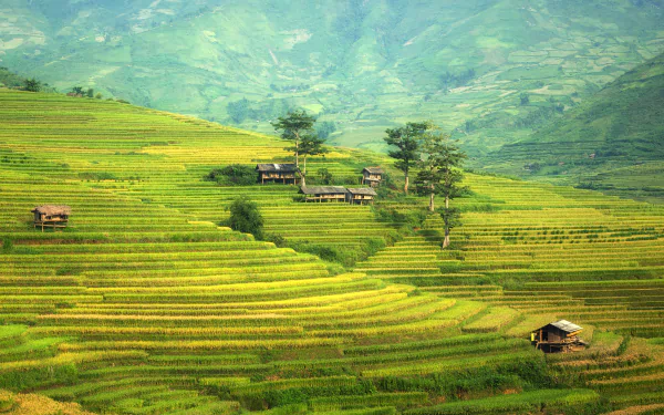 landscape man made rice terrace HD Desktop Wallpaper | Background Image