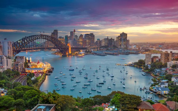 Man Made Sydney Cities Australia City Boat Bridge Sydney Harbour Bridge Sydney Harbour Lavender Bay HD Wallpaper | Background Image