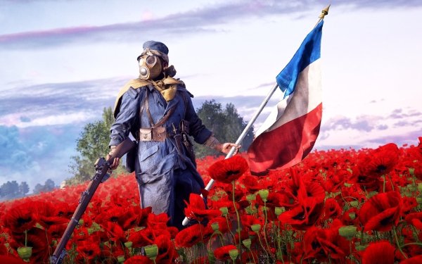 Video Game Battlefield 1 Battlefield Soldier Poppy Red Flower French Flag Gas Mask HD Wallpaper | Background Image