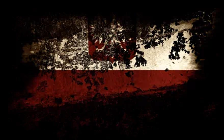 HD PC desktop wallpaper featuring the Poland flag with a distressed, textured effect blending into dark foliage and shadows.