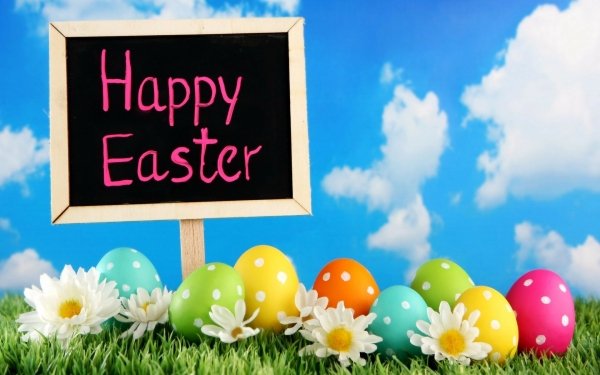 Holiday Easter Grass Sign Happy Easter Easter Egg Flower Colorful Spring HD Wallpaper | Background Image