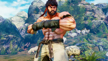 video game Street Fighter V HD Desktop Wallpaper | Background Image