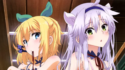 HD desktop wallpaper featuring anime characters Rumia Tingel and Sistine Fibel from Rokudenashi Majutsu Koushi to Akashic Records, against a wooden background.